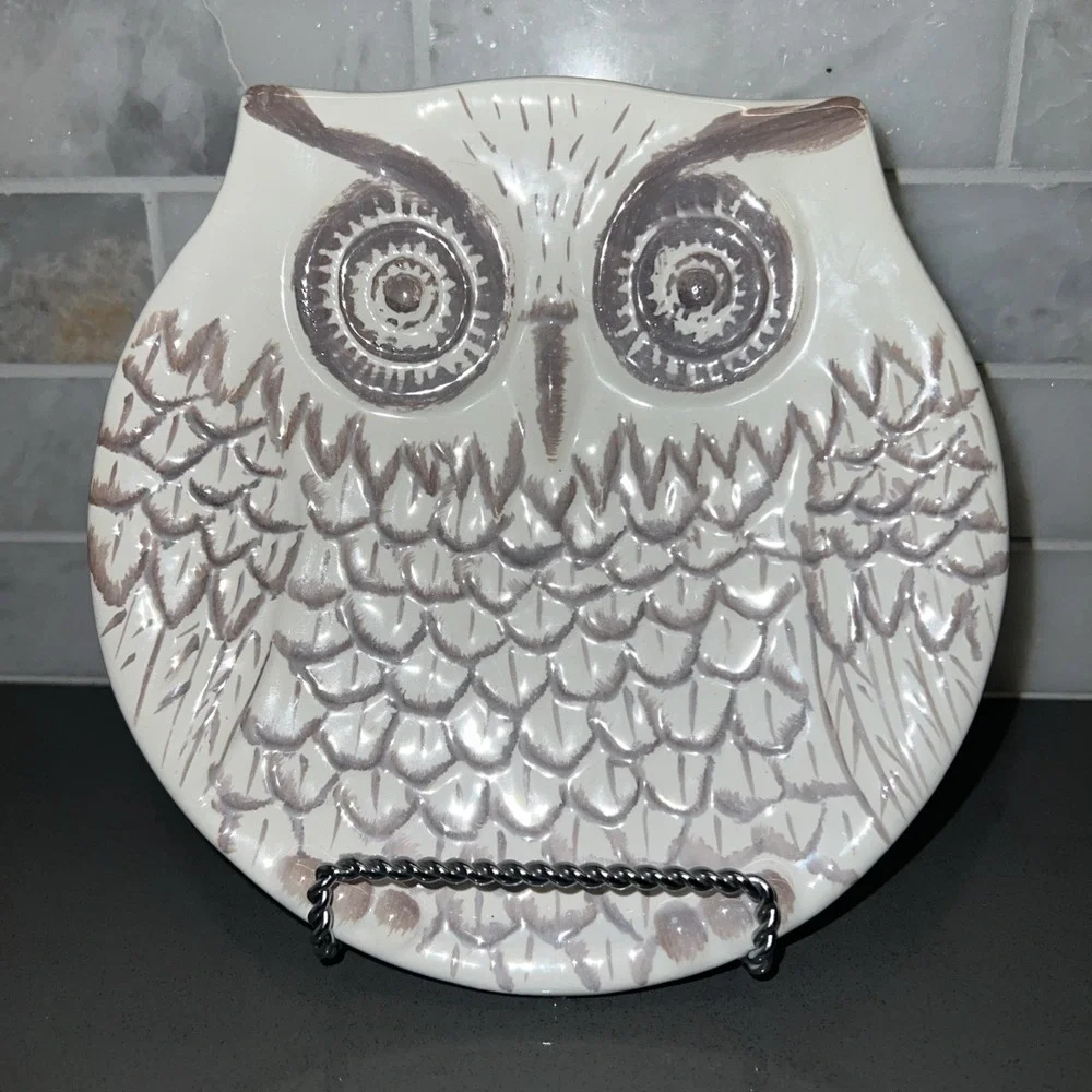 Adorable, Fun Ceramic Owl Plate-functual and/or decorative